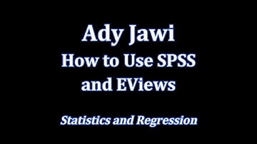 How to Use SPSS and EViews to Display Statistics and Regression Analysis