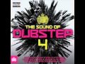 Natural Disaster - Laidback Luke vs Example - Skream Remix  The sound of dubstep 4