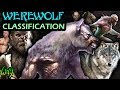 Every Type of Werewolf - Werewolf Classification