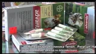 Video, Ветеринарные клиники