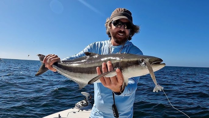 How To: Sight Casting Cobia On The Surface 