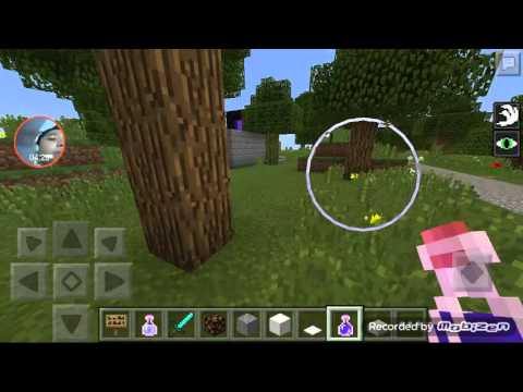 First talk in my video:minecraft pe explore my world - YouTube
