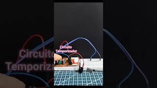 Reed Switch con circuito Temporizador