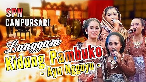 Ayo Ngguyu Langgam Gending Pambuko Voc. Daimah Cs. Cover SPN Campursari ( Official Musik )