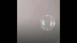 catatan dusta no vocal