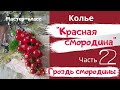 Колье &quot;Красная смородина&quot; ч.2- &quot;Гроздь смородины&quot;