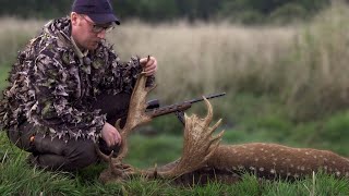 HUNT FOR MEDAL FALLOW DEER - Big fallow deer shot by Adam Andersson
