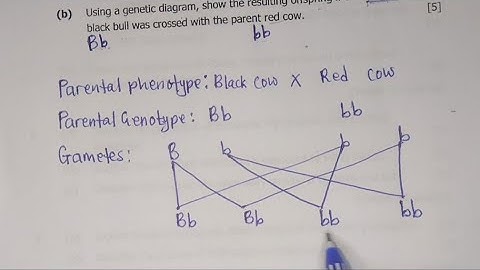 G12 BIOLOGY PAPER 2 -2017 GCE :GENETIC DIAGRAM Q5