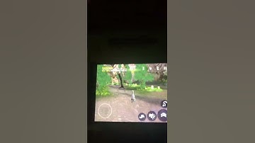 I found a secret in goat simulator