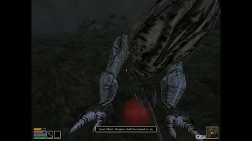 The Elder Scrolls III: Morrowind Part 5-Adventure!.....sort of