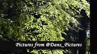 @Dans_Pictures video Glee background music