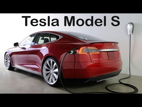 Video: La Función Del Modo Perro Llegará A Los Autos Tesla