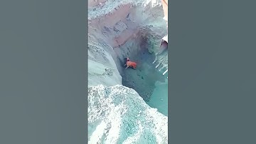 Chú chó vô tình bị rơi xuống chiếc hố và cái kết 🫠 #shorts