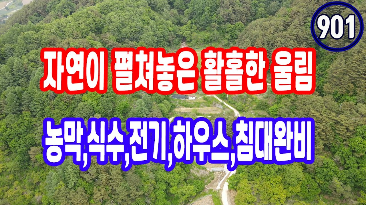 땅 시골 땅,해발 470고지 농막 식수 전기 하우스 완전 두메 산 골 오지땅, 아름드리 느티나무 평상 세상의 번잡함 눈부심을 뒤로하는 자연 청정 토지 매매