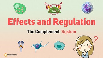 The Complement System - Effects and Regulation