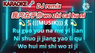 Dj remix 我只在乎你 wo zhi cai hu ni Karaoke mandarin music no vocal