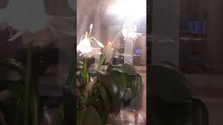 во внутрь себя .Злопамятство,это  враг человека