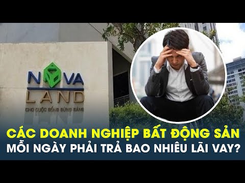 Novaland và các đại gia bất động sản mỗi ngày phải trả mấy tỷ đồng lãi vay?  | CafeLand 2023 mới nhất