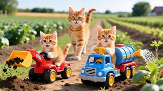 Mama Cat Trims Fur on the Farm and Makes Tiger Hat For Kittens At HomeπΎπ©π― Mama Cat Trims Fur on the Farm and Makes Tiger Hat For Kittens At HomeπΎπ©π―