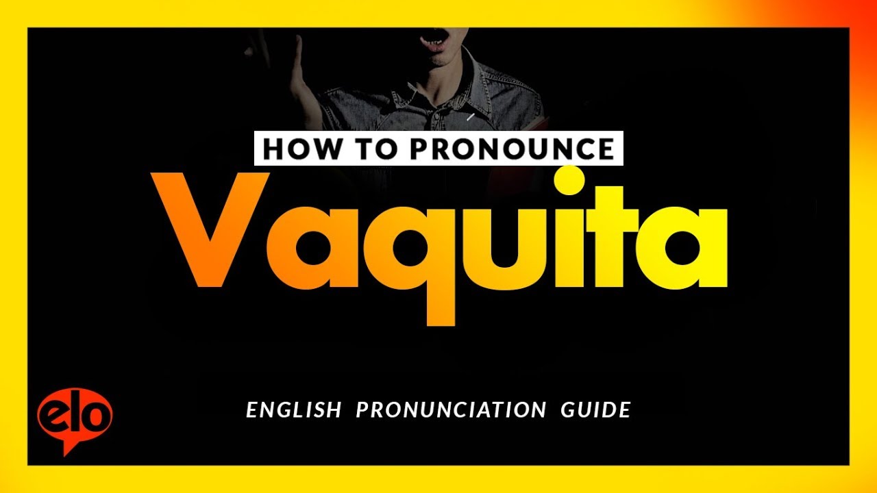 How To Pronounce Vaquita  |  Pronunciation Guide