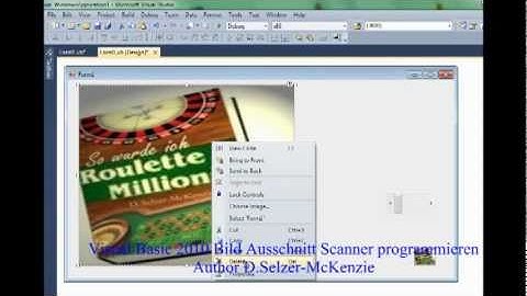 Visual Basic 2010 Bild Scanner programmieren SelMcKenzie Selzer-McKenzie