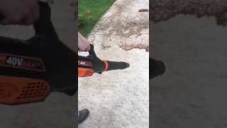 Hitachi 36-Volt Handheld Blower wen leaf blower