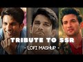 Tribute to ssr lofi mashup  phir kabhi  qaafirana  jaannisar  jaz scape  