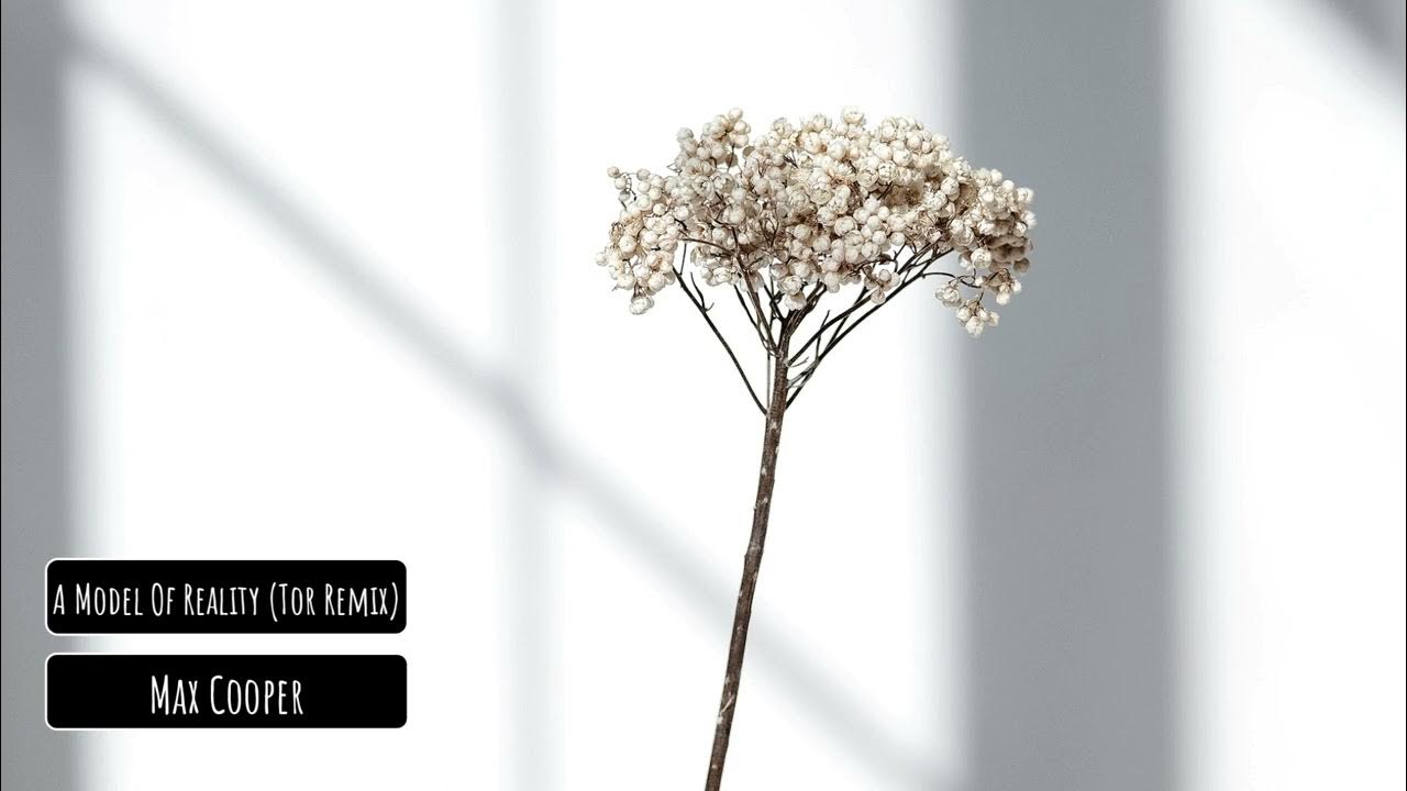 Max Cooper - A Model Of Reality (Tor Remix) Max Cooper - A Model Of Reality (Tor Remix)