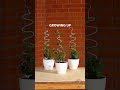 These Garden DIYs Are Way More Fun Than They Should Be 🌱🔥