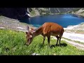 Morskie Oko, Czarny Staw pod Rysami Zakopane 2017 - GoPro 5 Black