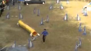 20080302-1.wmv