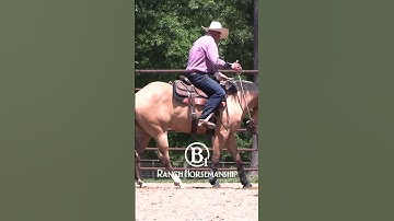 From the collection:  How To Teach a Horse To Work The Flag Part 3