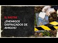 Confiaron en sus amigos y los traicionaron: cuando la confianza termina en tragedia – El Rastro