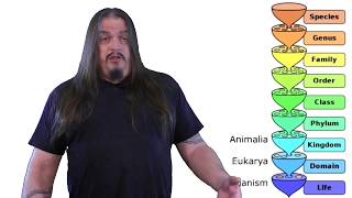Systematic Classification of Life - ep3, Metazoa