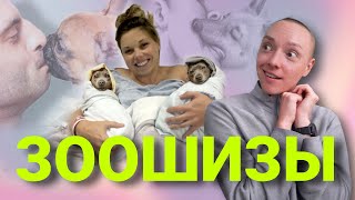 ЗООШИЗЫ | Животные лучше людей?