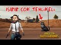 PUBG | VAŞAK HAYVANININ SALDIRISINA UĞRADIM ! o_0