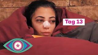 Tag 13 in 7 Minuten: Dilara in Krawall-Stimmung und der erste Finalist! | Promi Big Brother 2023