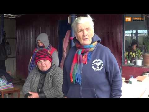 ეს რა ქვეყანაა იცი?  უძაღლო ქვეყანაში, კატებს აყეფებდნენო