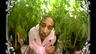 Ludacris - Blue Berry Yum Yum
