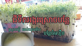 ធ្វើជីធម្មជាតិ |EP.3 | ជីទឹកអង្ករស្រោចបន្លែ