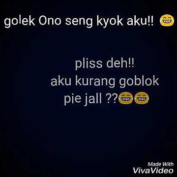 Story whatsapp kurang goblok pie