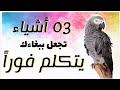 تعليم الببغاء الكلام 03 أشياء تجعل ببغاءك يتكلم في وقت قصير