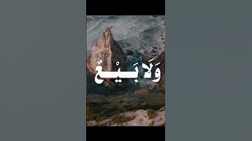 من سورة النور تلاوة الشيخ القارئ علي جابر رحمه الله| #المصحف #علي_جابر #سورة_النور