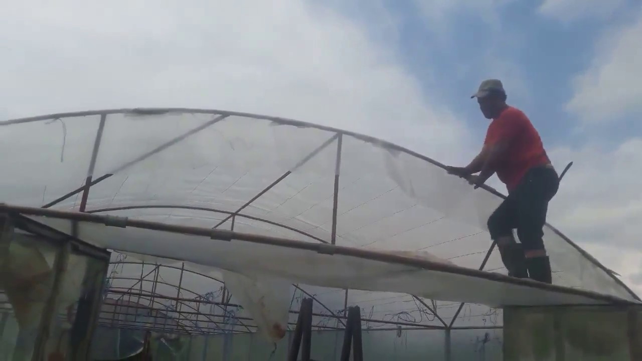 Am dat și cu folia pe solar