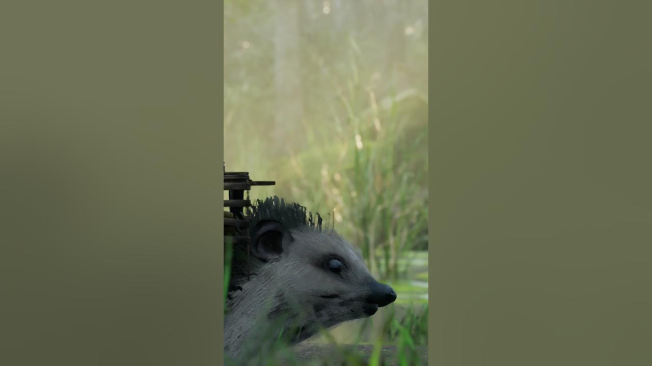 The world's biggest mouse helps me to pass the river 💪 