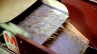 Green Coffee Beans Sorting Machines