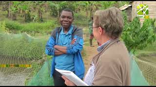 REPORTAGE : PISCICULTURE A NKOLFOULOU