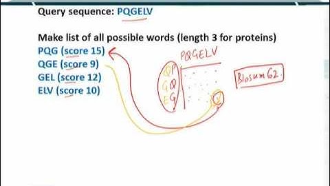Topic 62 (BIF401 - Bioinformatics I)