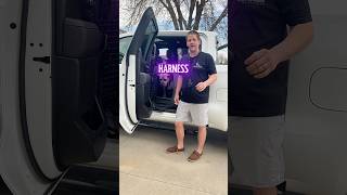 Top 2 Reasons Your Dog Should Wear a Harness