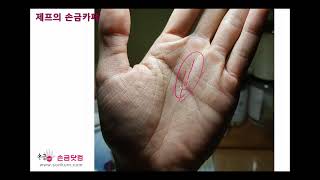 [제프의 손금카페] 내 손금 좀 봐주세요~(2022년 1월 첫째주)